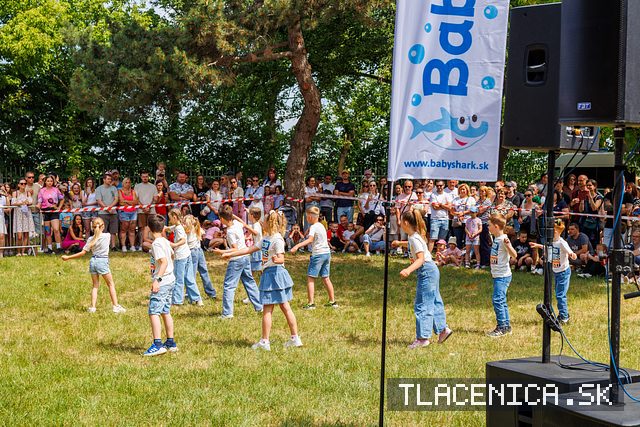 Fotka z galérie Deň detí Senec, nedeľa