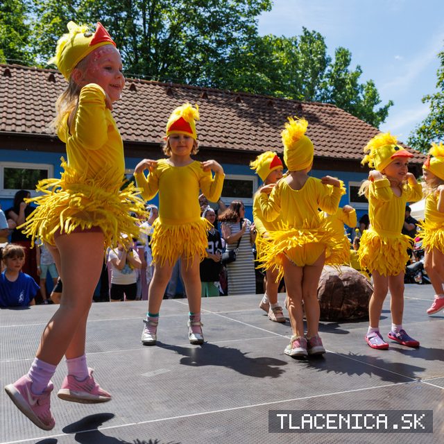 Fotka z galérie Deň detí Senec, nedeľa
