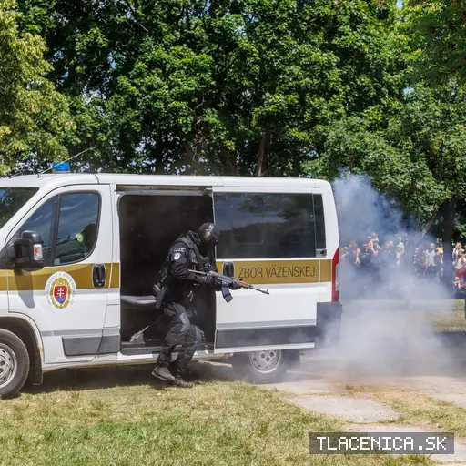 Fotka z galerie Deň detí Senec, nedeľa
