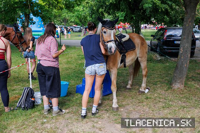 Fotka z galérie Deň detí Senec, sobota