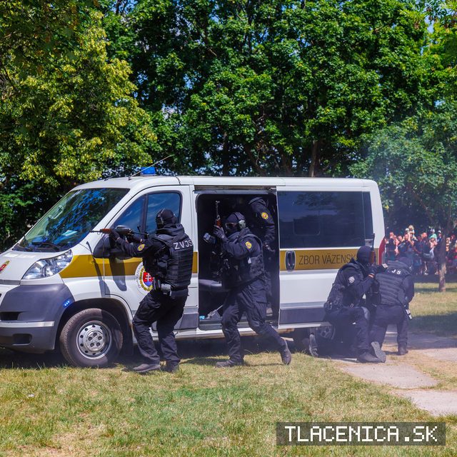 Fotka z galérie Deň detí Senec, nedeľa
