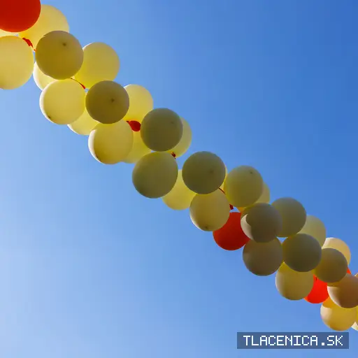 Fotka z galérie Veľký letný karneval 2026, Senec