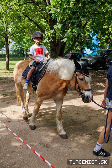 Fotka z galérie Deň detí Senec, sobota