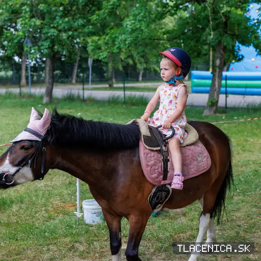Fotka z galerie Deň detí Senec, sobota