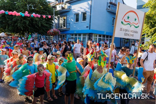 Fotka z galerie Veľký letný karneval 2026, Senec