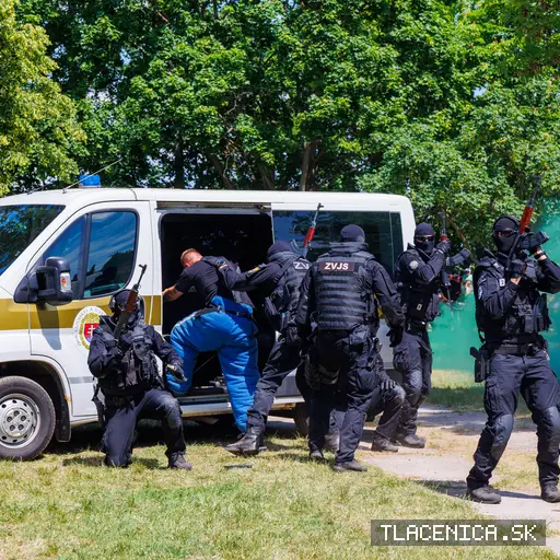 Fotka z galerie Deň detí Senec, nedeľa