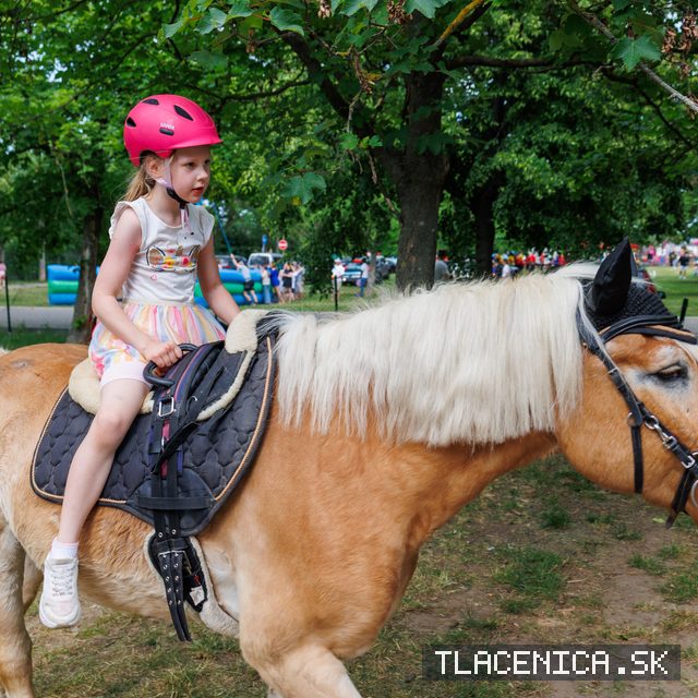 Fotka z galérie Deň detí Senec, sobota