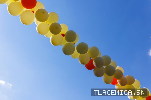 Fotka z galerie Veľký letný karneval 2026, Senec