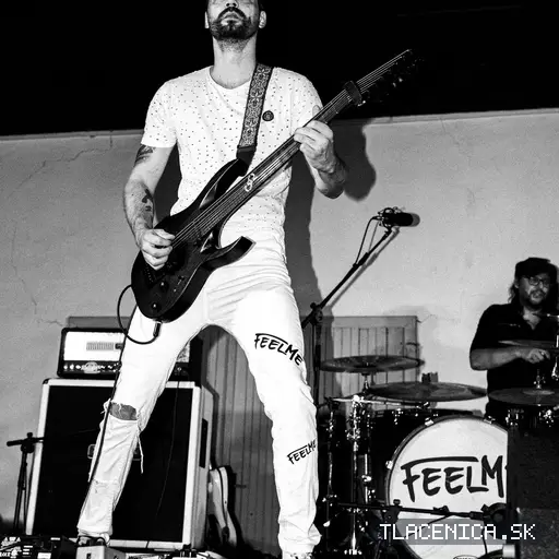 Fotka z galérie Sad LIVE! 2026