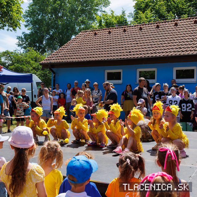 Fotka z galérie Deň detí Senec, nedeľa