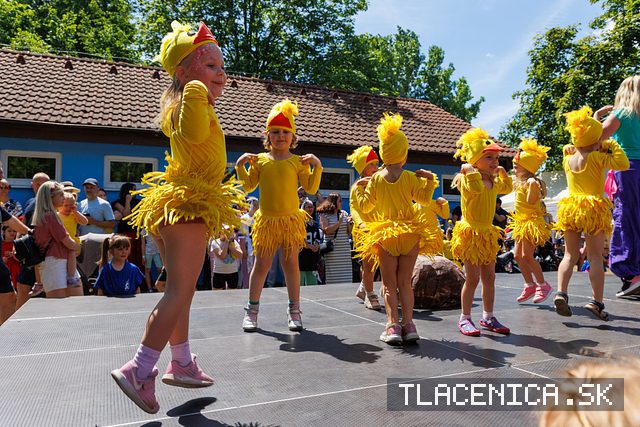 Fotka z galérie Deň detí Senec, nedeľa