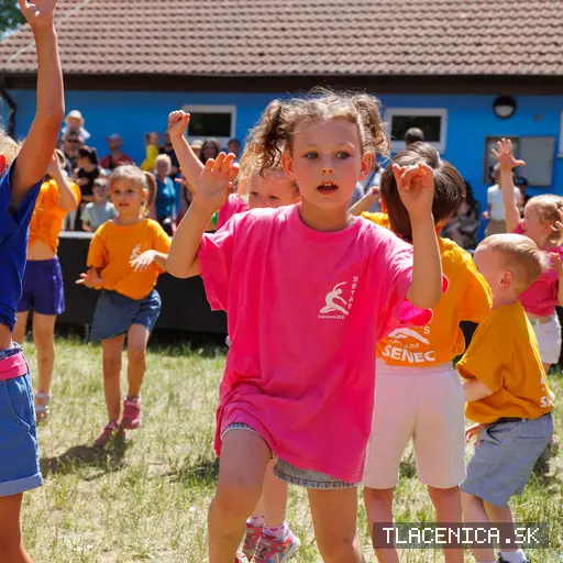 Fotka z galerie Deň detí Senec, nedeľa