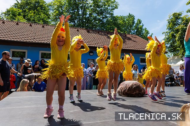 Fotka z galérie Deň detí Senec, nedeľa