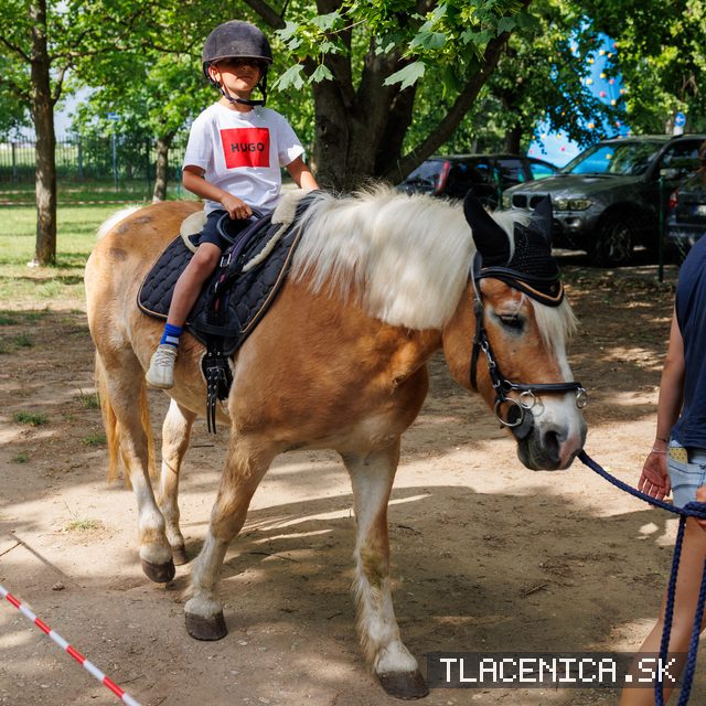 Fotka z galérie Deň detí Senec, sobota