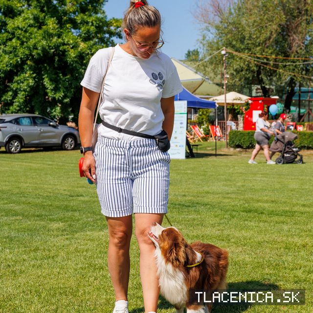 Fotka z galérie Deň detí Senec, sobota