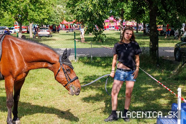 Fotka z galérie Deň detí Senec, sobota