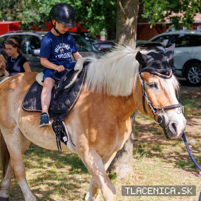Fotka z galérie Deň detí Senec, sobota