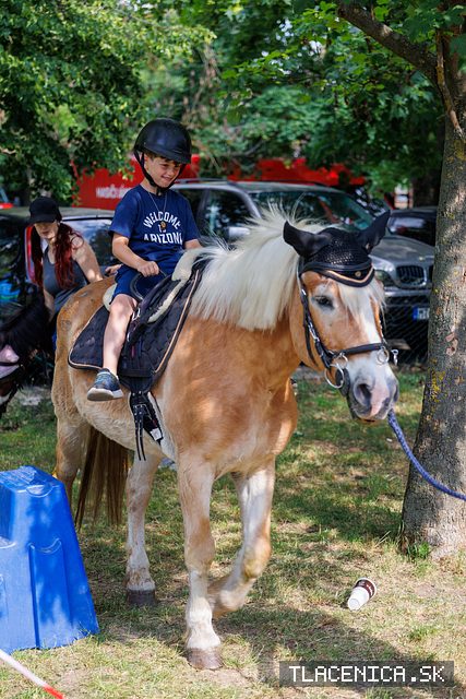 Fotka z galérie Deň detí Senec, sobota