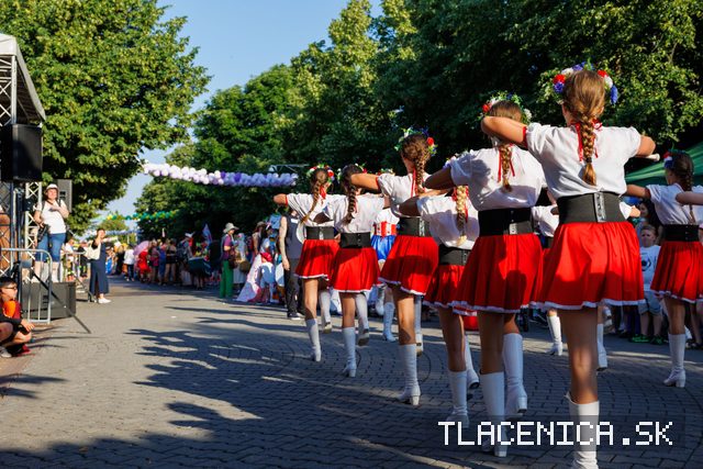 Fotka z galerie Veľký letný karneval 2026, Senec