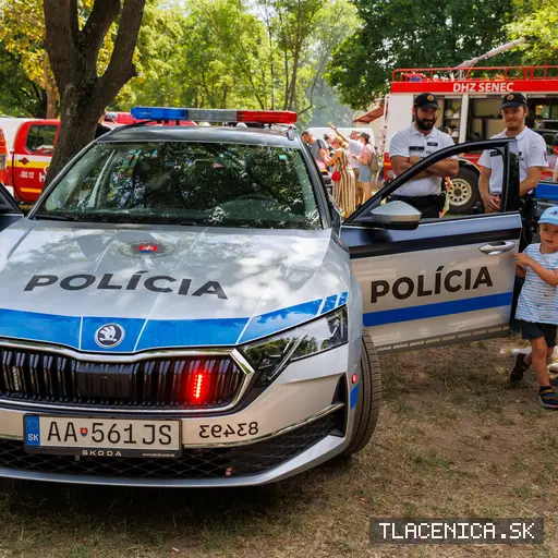 Fotka z galerie Deň detí Senec, nedeľa