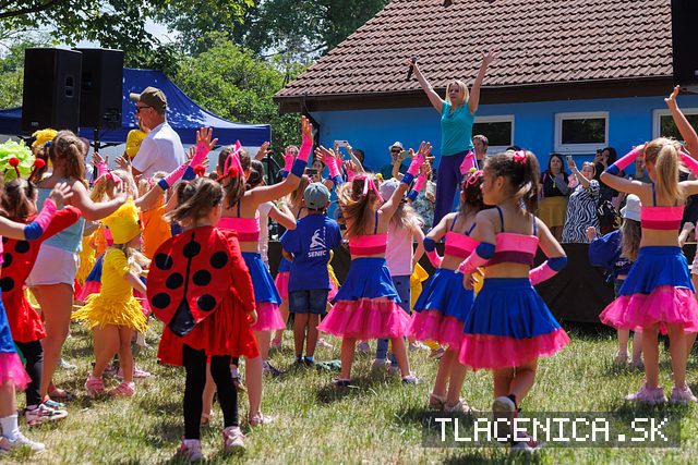 Fotka z galérie Deň detí Senec, nedeľa