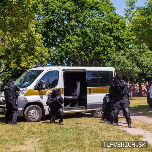 Fotka z galerie Deň detí Senec, nedeľa