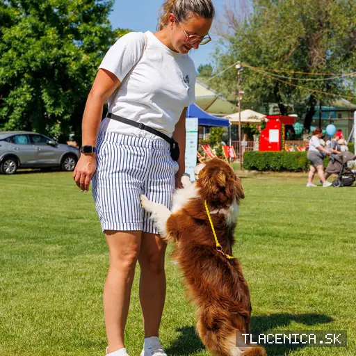 Fotka z galerie Deň detí Senec, sobota