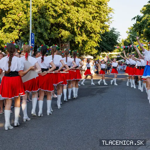 Fotka z galérie Veľký letný karneval 2026, Senec