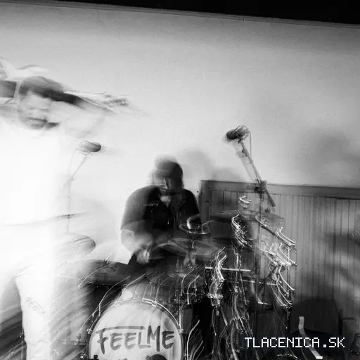 Fotka z galérie Sad LIVE! 2026