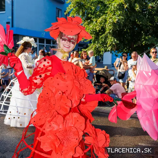 Fotka z galérie Veľký letný karneval 2026, Senec