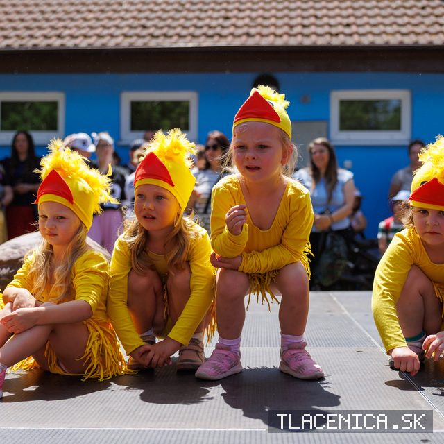 Fotka z galérie Deň detí Senec, nedeľa