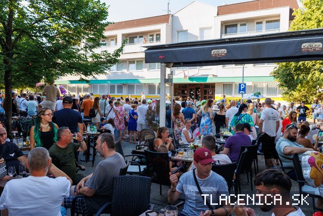 Fotka z galerie Veľký letný karneval 2026, Senec