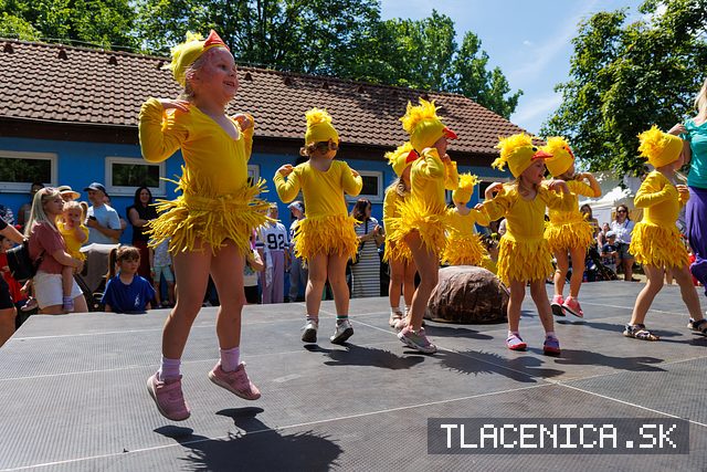 Fotka z galérie Deň detí Senec, nedeľa