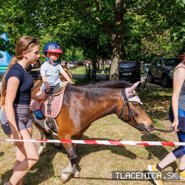 Fotka z galérie Deň detí Senec, sobota