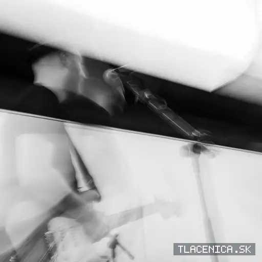 Fotka z galérie Sad LIVE! 2026