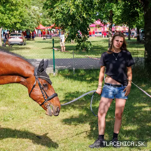 Fotka z galerie Deň detí Senec, sobota