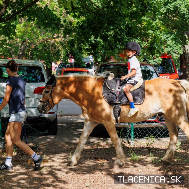 Fotka z galérie Deň detí Senec, sobota