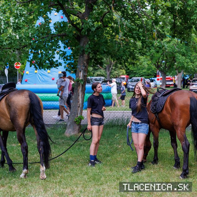 Fotka z galérie Deň detí Senec, sobota