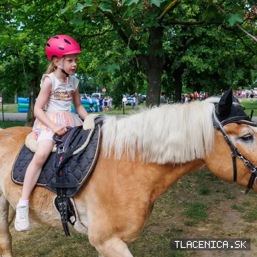 Fotka z galerie Deň detí Senec, sobota