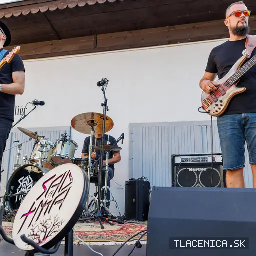 Fotka z galérie Sad LIVE! 2026