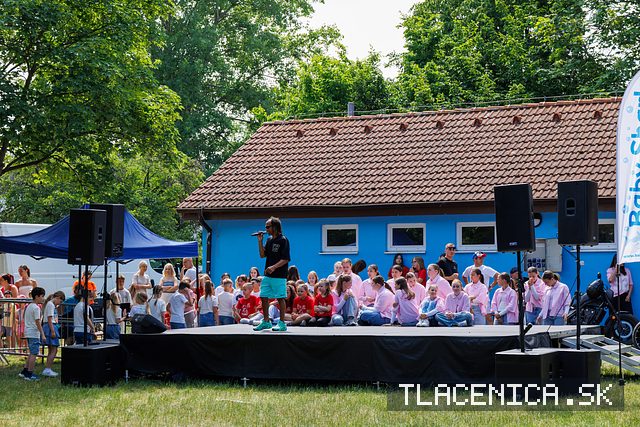 Fotka z galérie Deň detí Senec, nedeľa