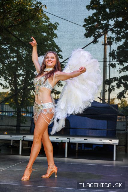 Fotka z galerie Veľký letný karneval 2026, Senec