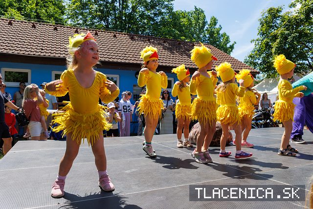 Fotka z galérie Deň detí Senec, nedeľa