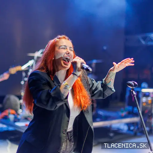 Fotka z galérie Senecké leto 2026, sobota