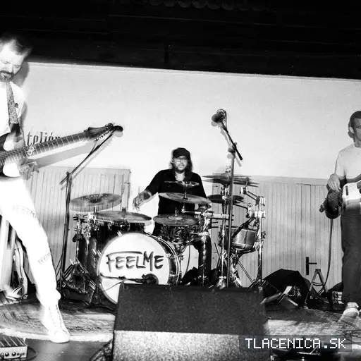 Fotka z galérie Sad LIVE! 2026