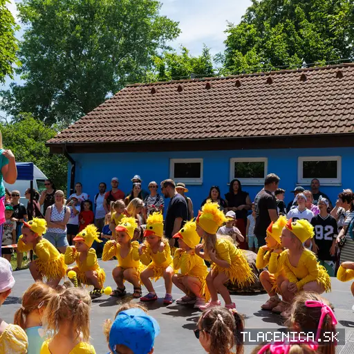 Fotka z galerie Deň detí Senec, nedeľa