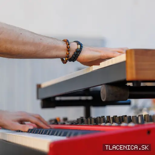 Fotka z galérie Sad LIVE! 2026