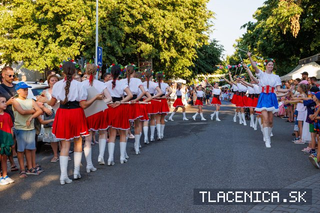 Fotka z galerie Veľký letný karneval 2026, Senec