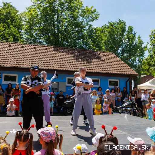 Fotka z galerie Deň detí Senec, nedeľa