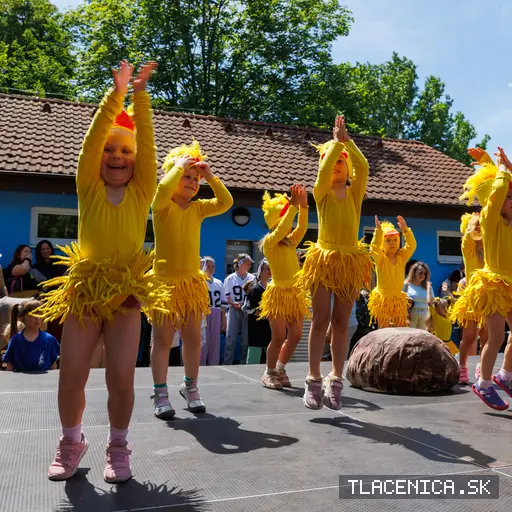Fotka z galerie Deň detí Senec, nedeľa